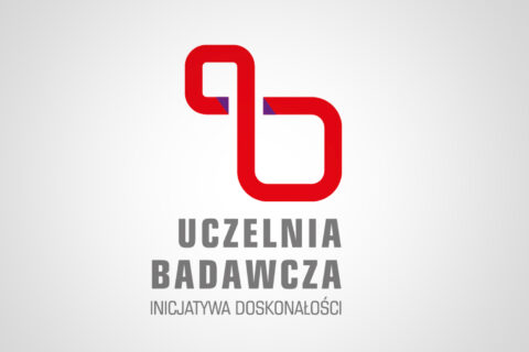 IDUB